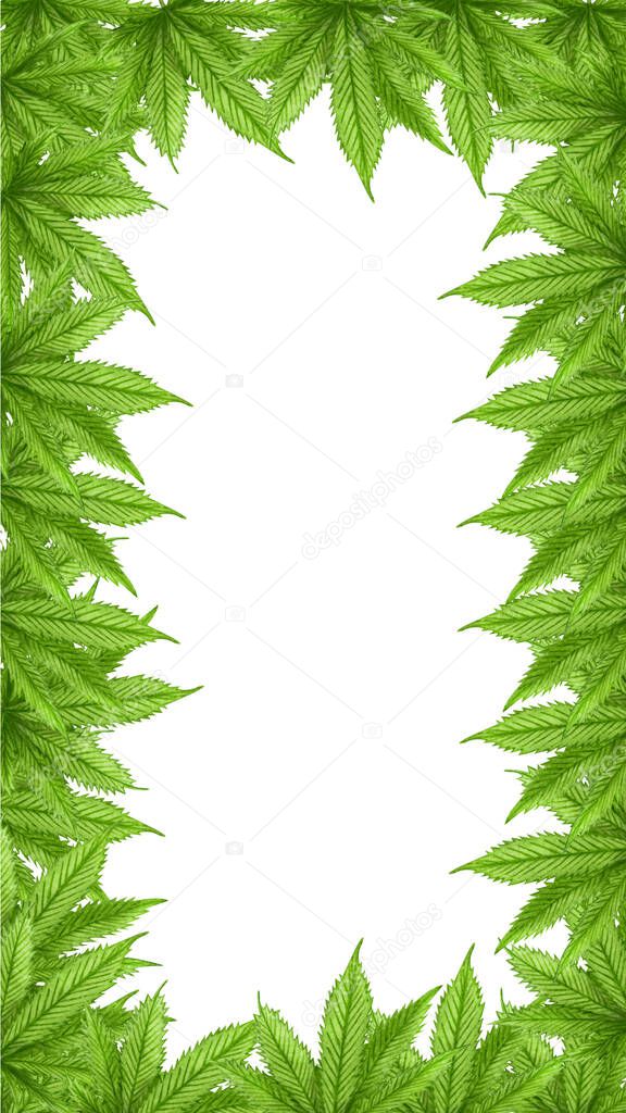 Watercolor cannabis frame. Hand drawn wild hemp plant border for greeting card, logo, frame or border,  social media template