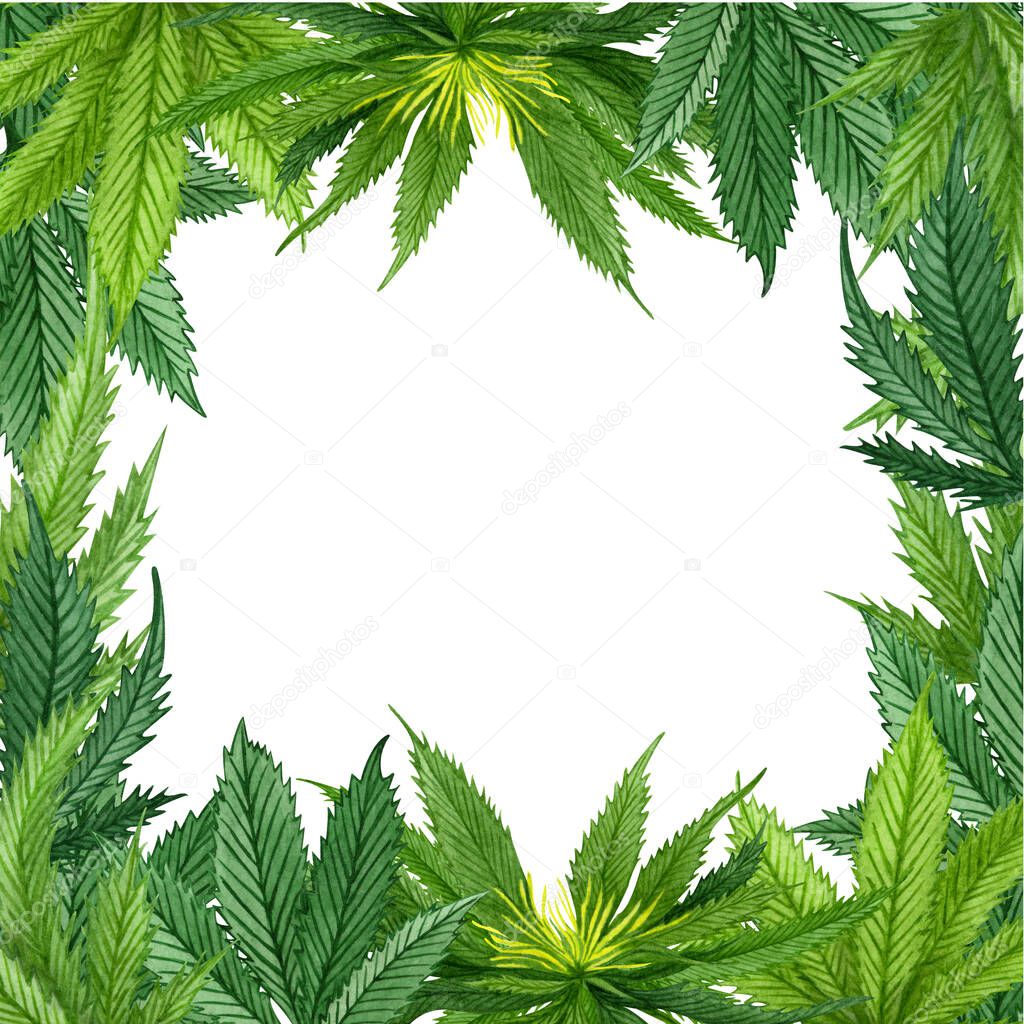 Watercolor cannabis frame. Hand drawn wild hemp plant border for greeting card, logo, frame or border.