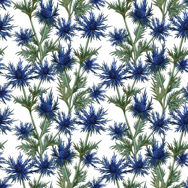 Patrón Sin Costuras Con Espina Azul Acuarela Mano Floral Dibujado —  Fotos de Stock