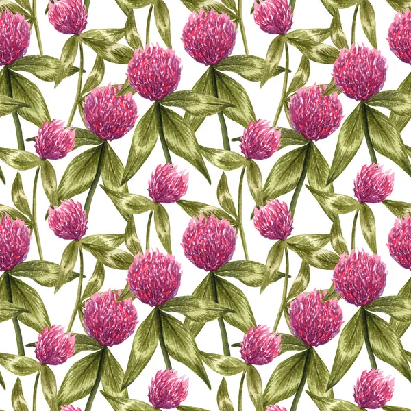 Aquarell Rosa Klee Nahtloses Muster Botanische Handgezeichnete Illustration Von Wildblumen — Stockfoto