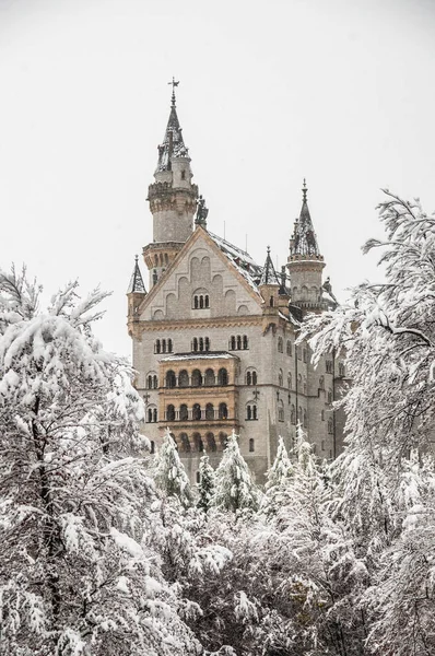Замок Нойшванштайн Покрывалом Снега Зимой — стоковое фото