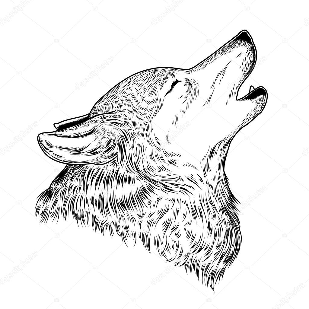 Vector illustration of a howling wolf, engraving. Print for T-shirts.