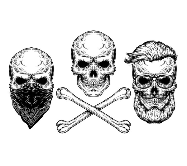 Vector illustration of a skull and crossbones