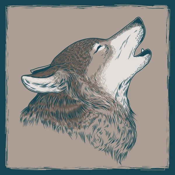 Ilustracja wektorowa wycie wilka — Wektor stockowy