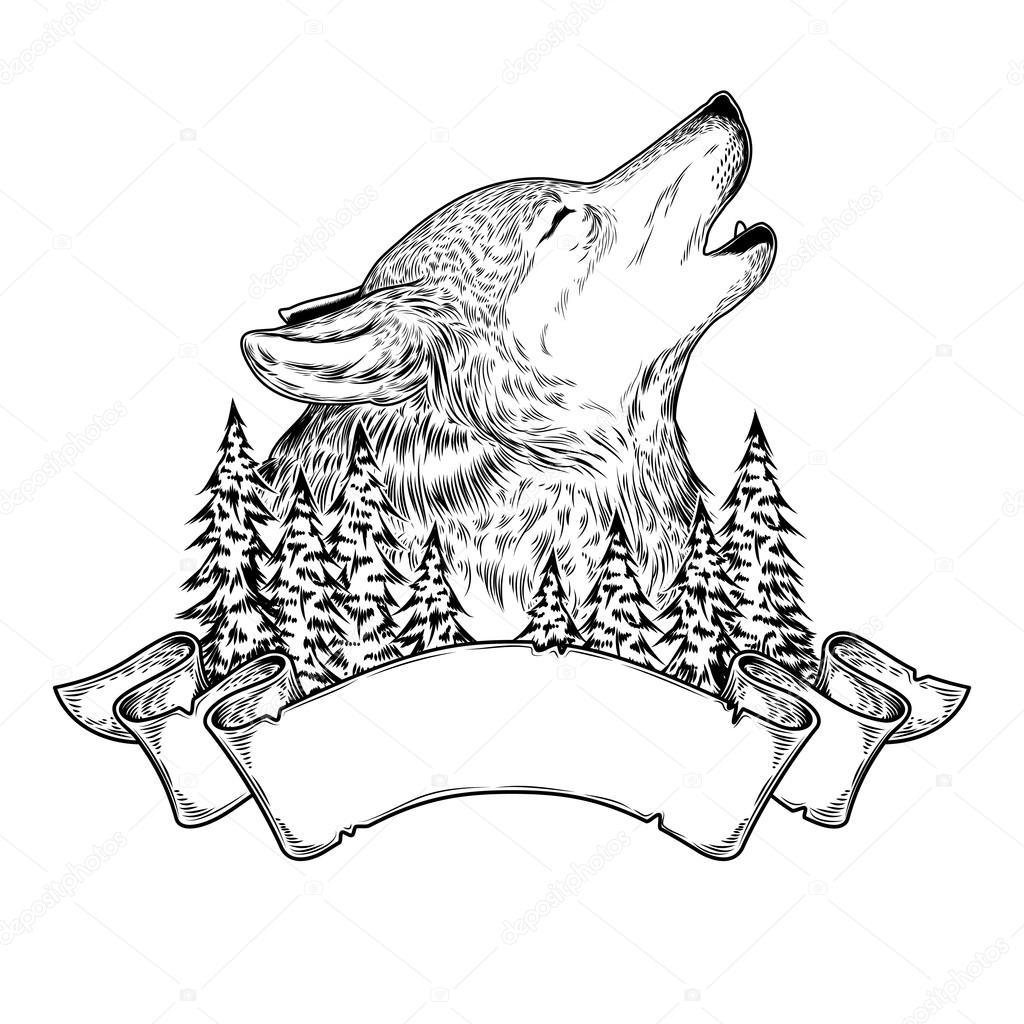 Vector illustration of a howling wolf with ribbon, engraving.