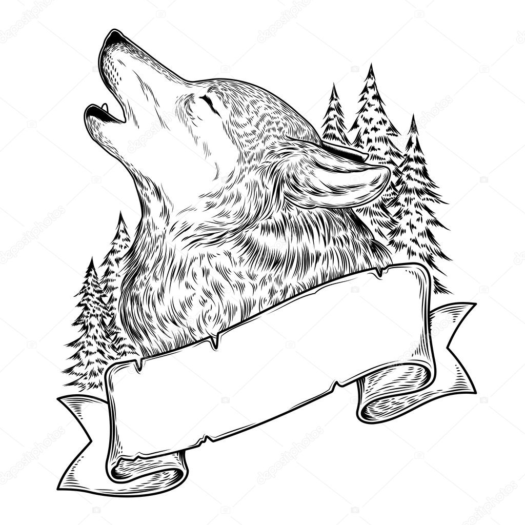 Vector illustration of a howling wolf with ribbon, engraving.