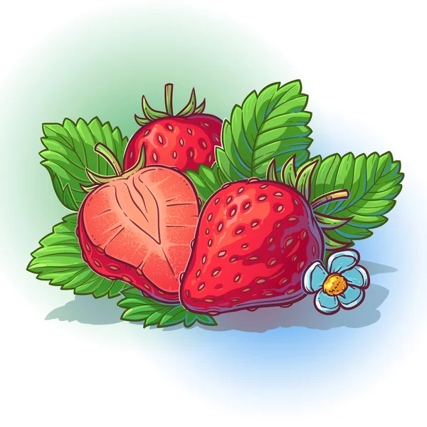 Vektorillustration av en jordgubbe med lämnar — Stock vektor