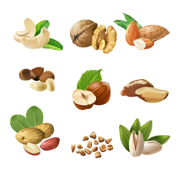 Establecer iconos vectoriales de frutos secos — Vector de stock