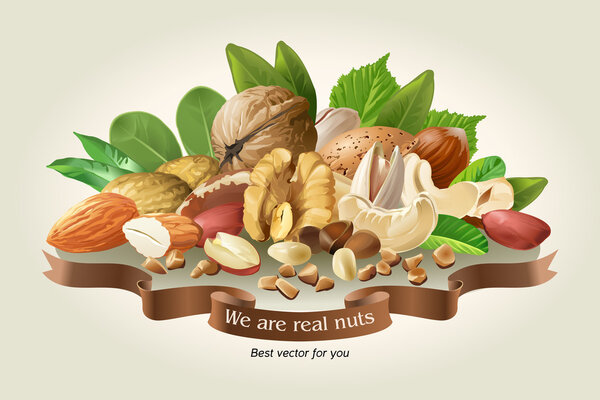 Vector illustration mix of different types nuts
