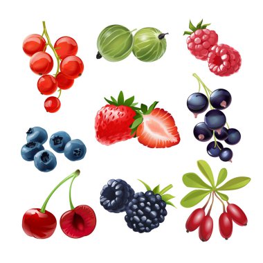 Set of vector icons  juicy ripe berries clipart