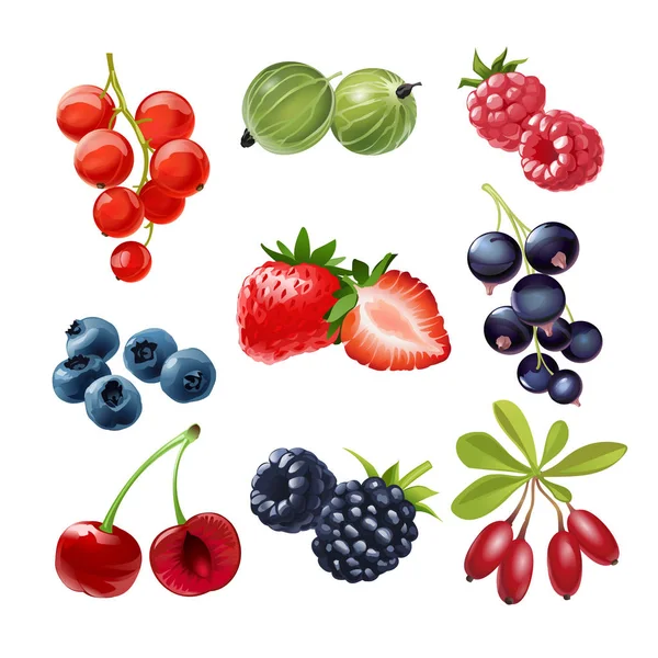 Set of vector icons  juicy ripe berries — Stock Vector