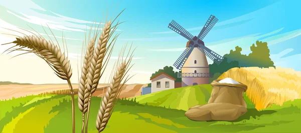 Ilustración vectorial paisaje rural de verano — Vector de stock