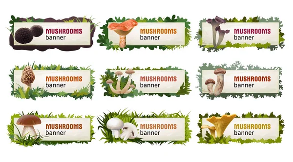 Set of delicious mushroom vector banners. — Stock Vector