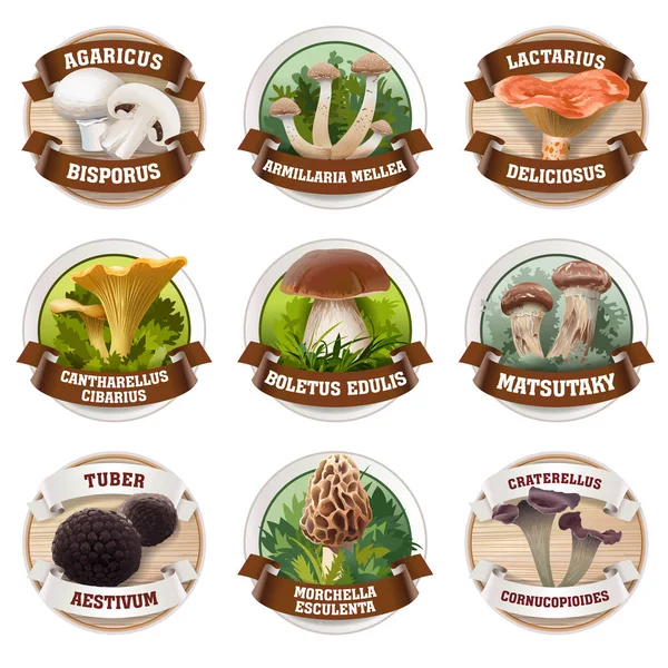 Векторний набір грибних логотипів, наклейки — стоковий вектор
