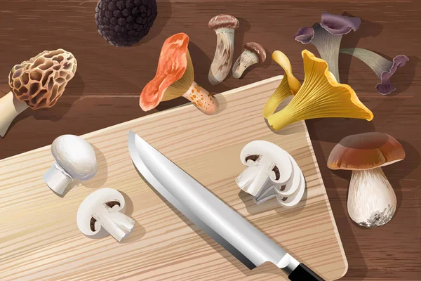 Векторний фон з різними видами їстівних грибів — стоковий вектор