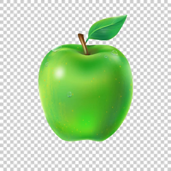Векторная иллюстрация сочного яблока — стоковый вектор