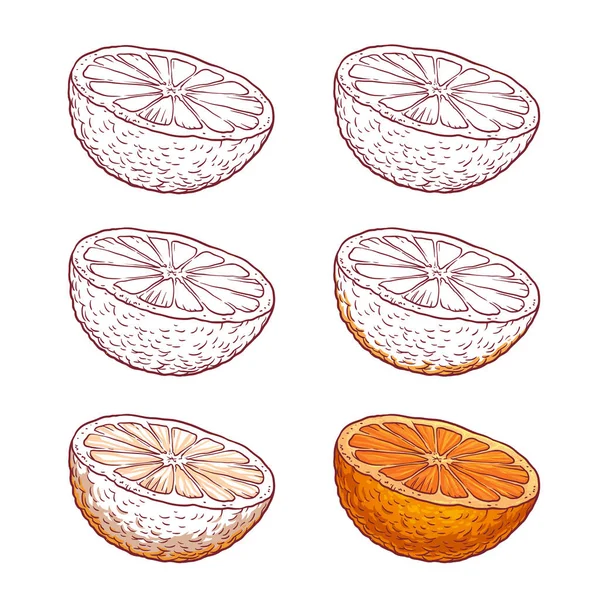 Set de jugosas naranjas sobre fondo blanco — Vector de stock