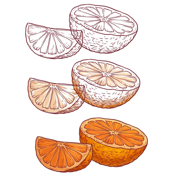 Set de jugosas naranjas sobre fondo blanco — Vector de stock