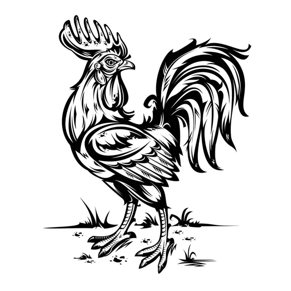 Illustration of a cock. — Stock Photo, Image