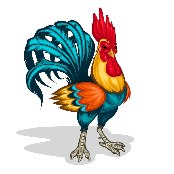 Illustrazione di un gallo — Foto Stock