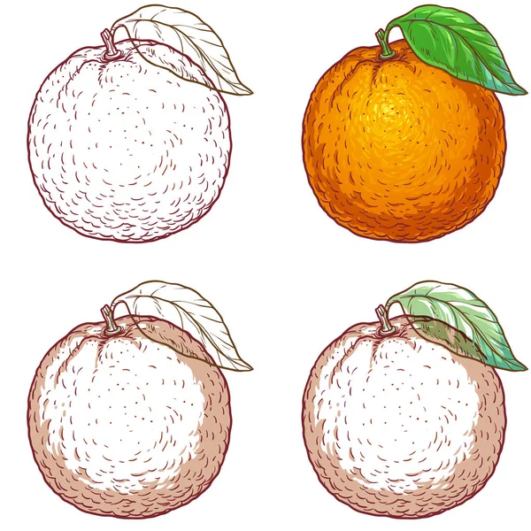 Naranja jugosa sobre fondo blanco — Vector de stock