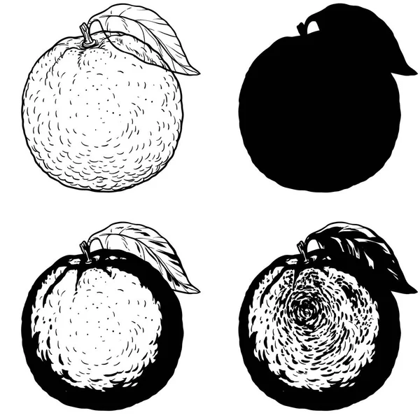 Kroki turuncu beyaz bir arka plan üzerinde