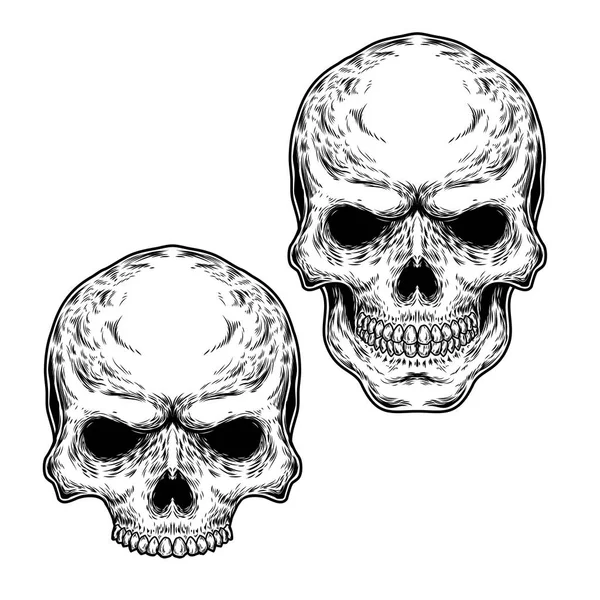 2 つの頭蓋骨のセット — ストック写真