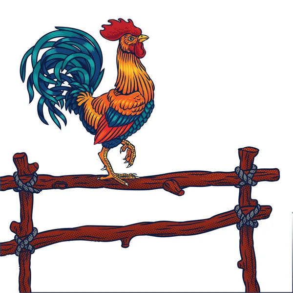 Vector illustration of a rooster — Stock Vector