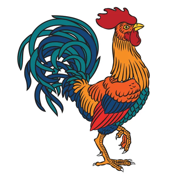 Vector illustration of a rooster — Stock Vector