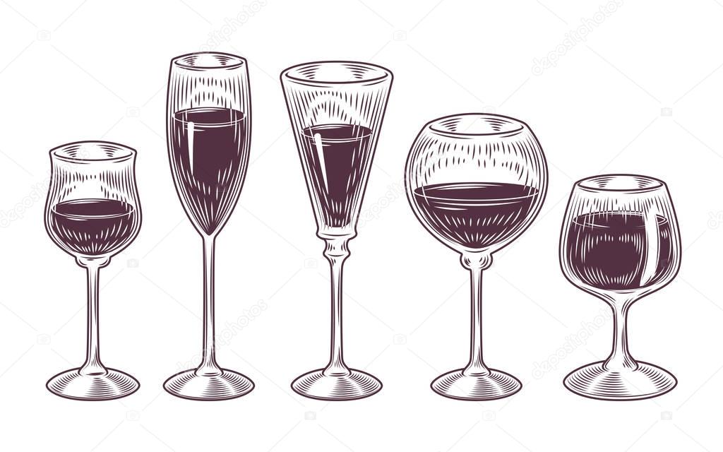 Vector collection of wine glasses