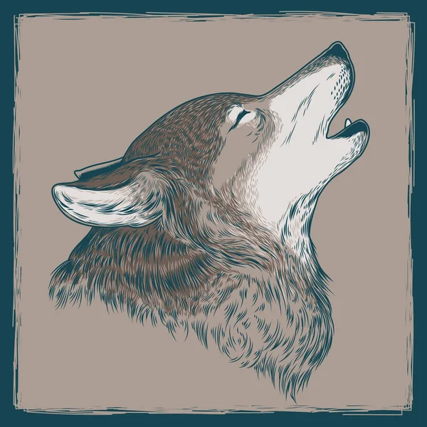 Ilustración de un lobo aullando —  Fotos de Stock