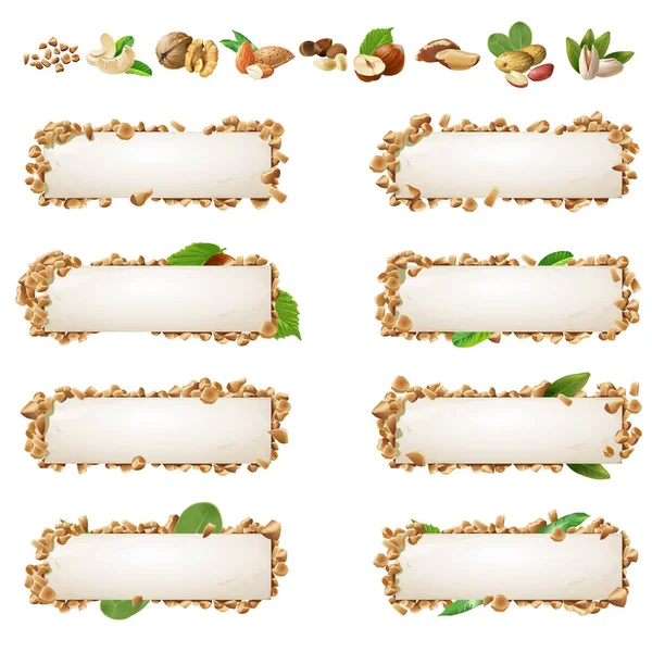 Set banners with different kinds of nuts. — Stock Vector