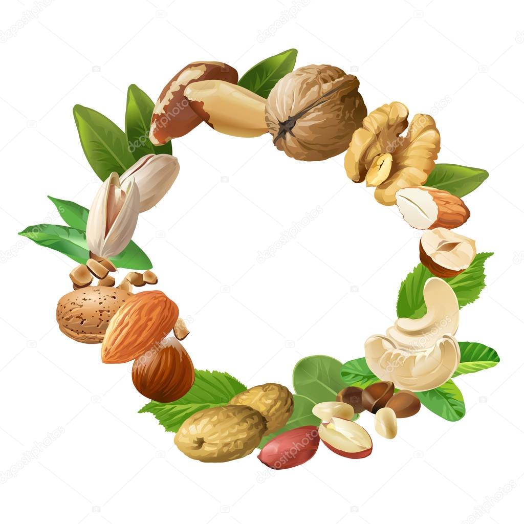 Vector illustration of nuts - cashews, walnuts, almonds, pine nuts, hazelnuts, brazil nuts peanuts pistachio are arranged in a circular frame