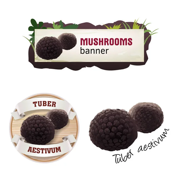 Conjunto de banner vetor de cogumelo, crachá, adesivo, ícone com trufa —  Vetores de Stock