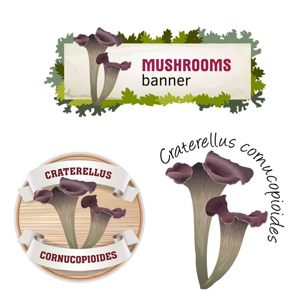 Conjunto de banner vetor de cogumelo, crachá, adesivo, ícone com craterellus cornucopioides —  Vetores de Stock
