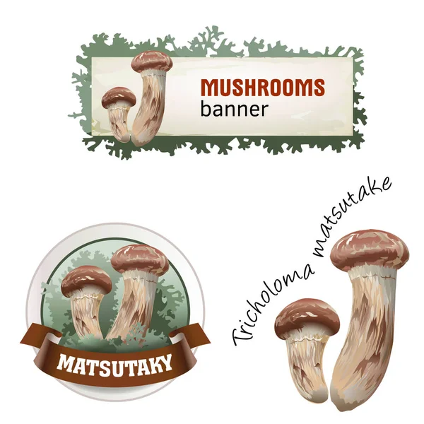 Set of mushroom vector banner, badge, sticker, icon with matsutake — Stock Vector