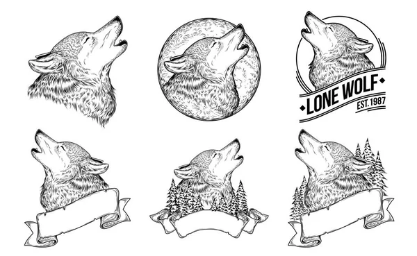 Conjunto de ilustrações vetoriais de um lobo uivante — Vetor de Stock