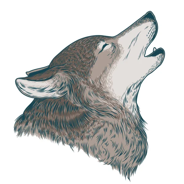 Vector εικονογράφηση ενός ουρλιαχτό λύκου — Διανυσματικό Αρχείο