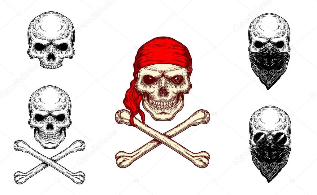 Vector illustration of a skull and crossbones