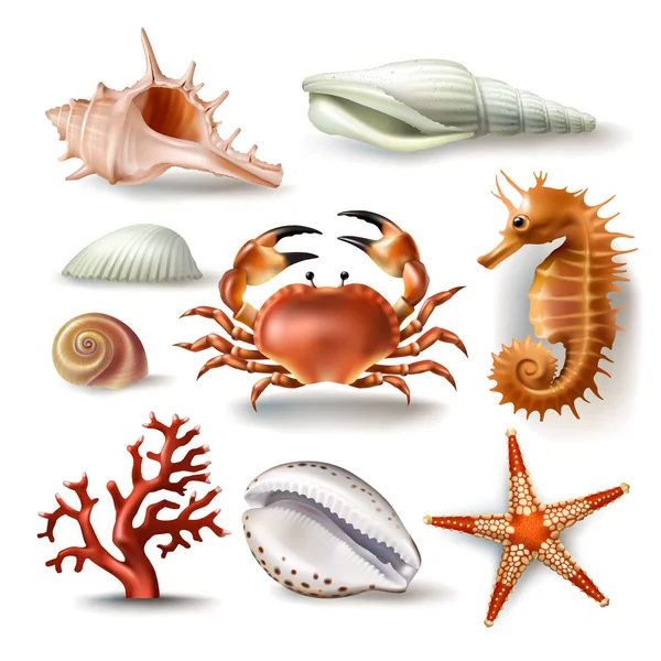 Reihe von Vektorillustrationen Muscheln, Korallen, Krabben und Seesterne — Stockvektor