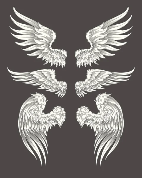 Набор крыльев ангела или птицы — стоковый вектор