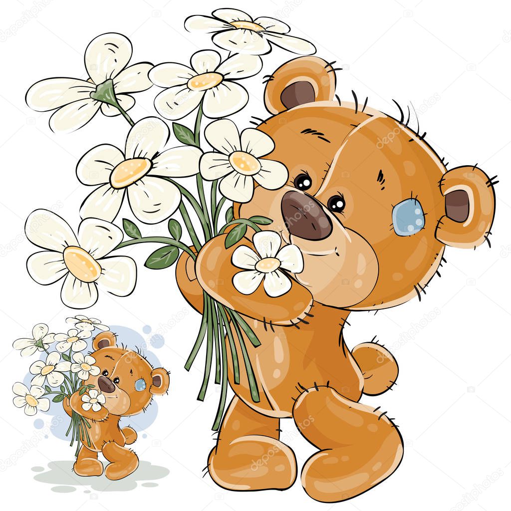 Vector illustration of a brown teddy bear holding a bouquet of flowers in his paws.