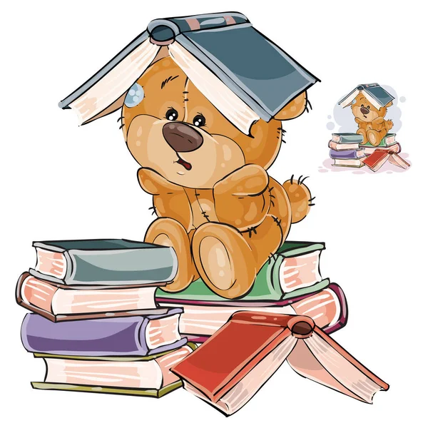 Ilustração vetorial de um ursinho de pelúcia marrom cansado de estudar e colocar um livro aberto em sua cabeça —  Vetores de Stock
