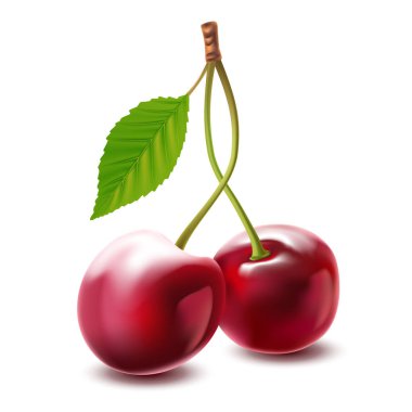 Beyaz arka plan üzerinde izole vektör görüntü kiraz