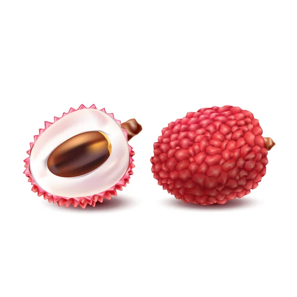 Vectorillustratie van een realistische stijl van litchy hele vruchten en een gesneden litchi geïsoleerd op wit. — Stockvector