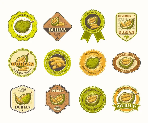 Σύνολο κονκάρδες με durian φρούτα — Διανυσματικό Αρχείο