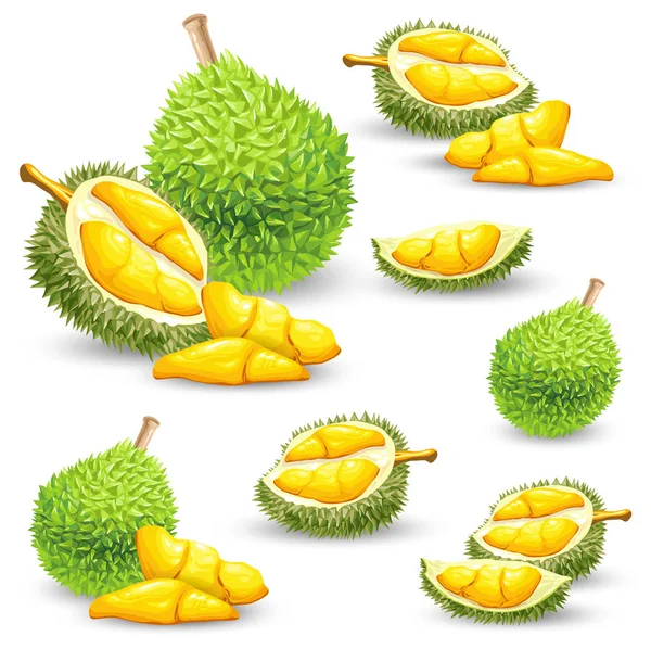 Set di illustrazioni di frutta durian — Vettoriale Stock