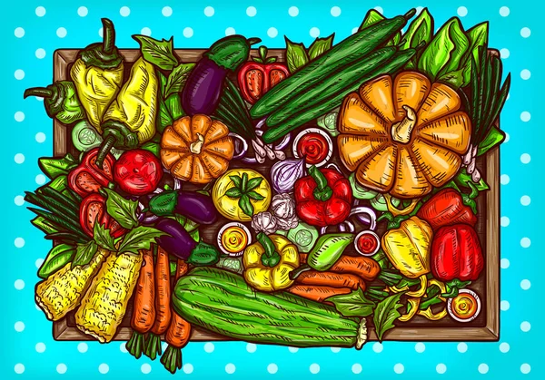 Ilustração de vários legumes — Vetor de Stock