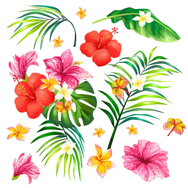 Vector illustration of a realistic style branch of a tropical palm tree with hibiscus flowers