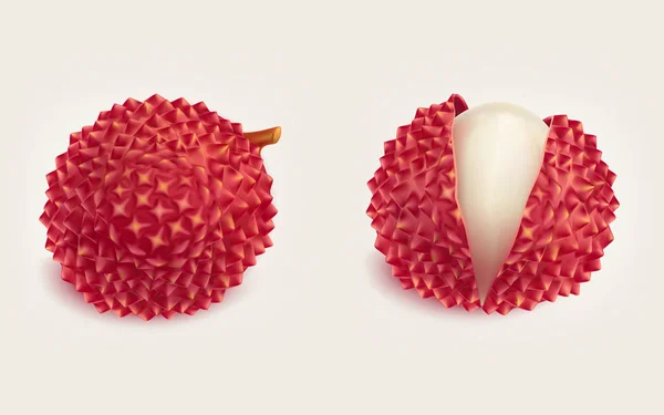 Frutas de litchi frescas maduras vector aislado realista — Archivo Imágenes Vectoriales